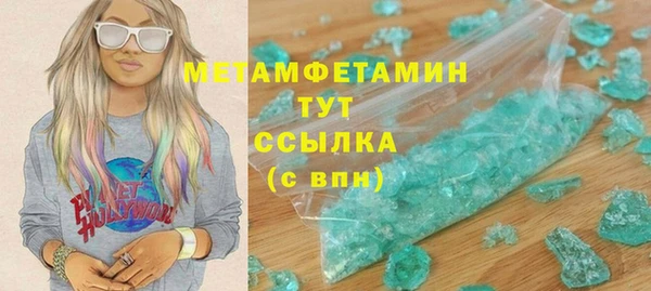 прущие грибы Верхний Тагил